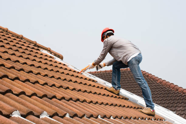 Best Hot Roofs  in Elgin, SC